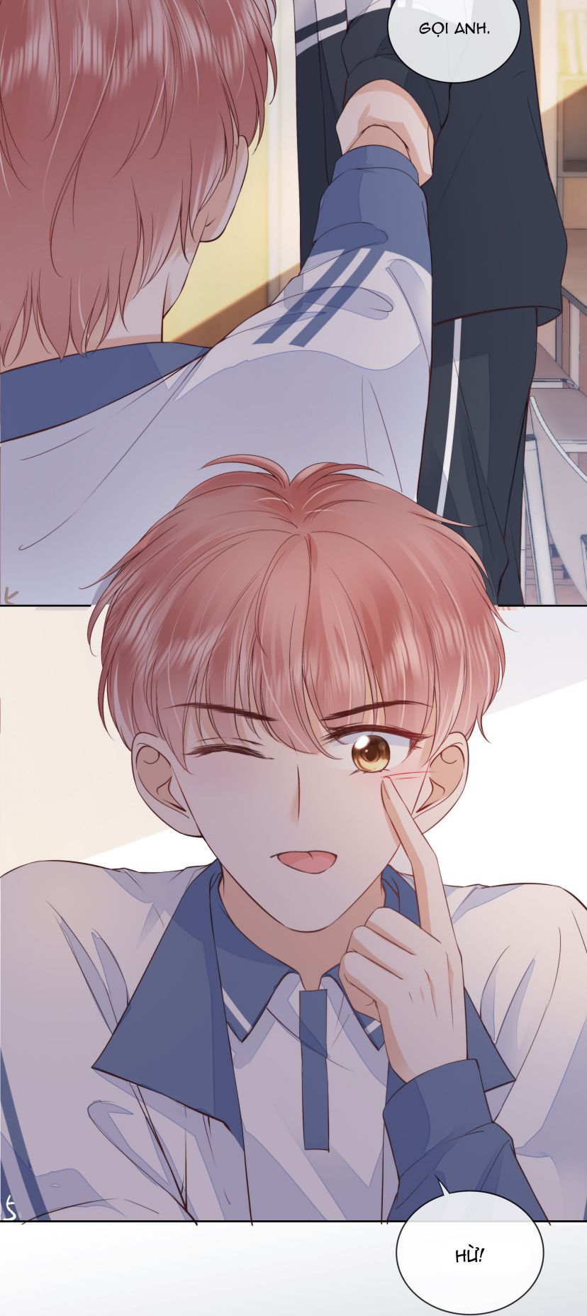 Tri Bỉ - Chương 20