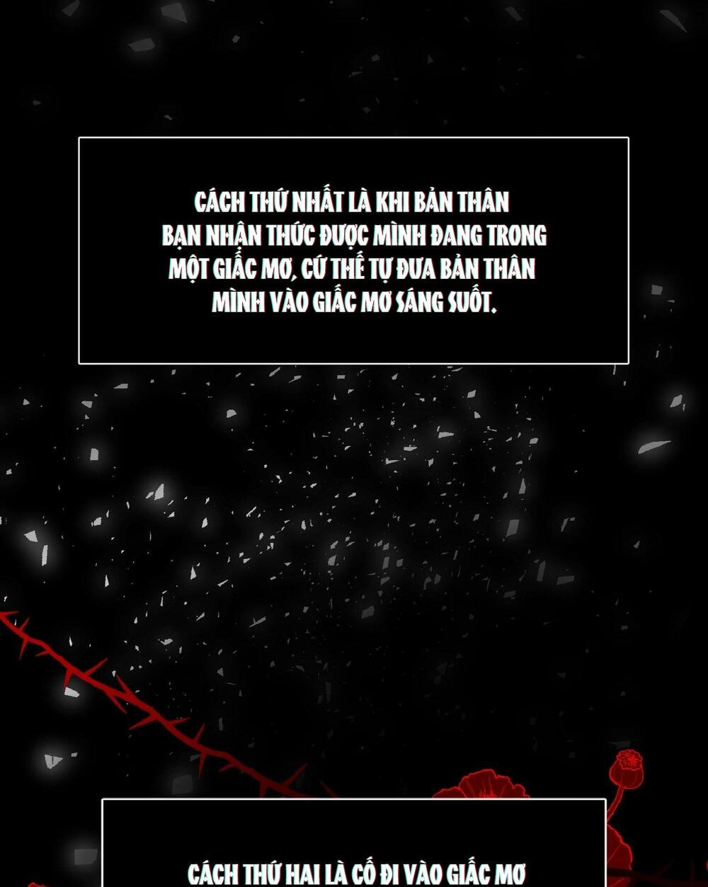 Tự Do Trong Mơ - Chương 2