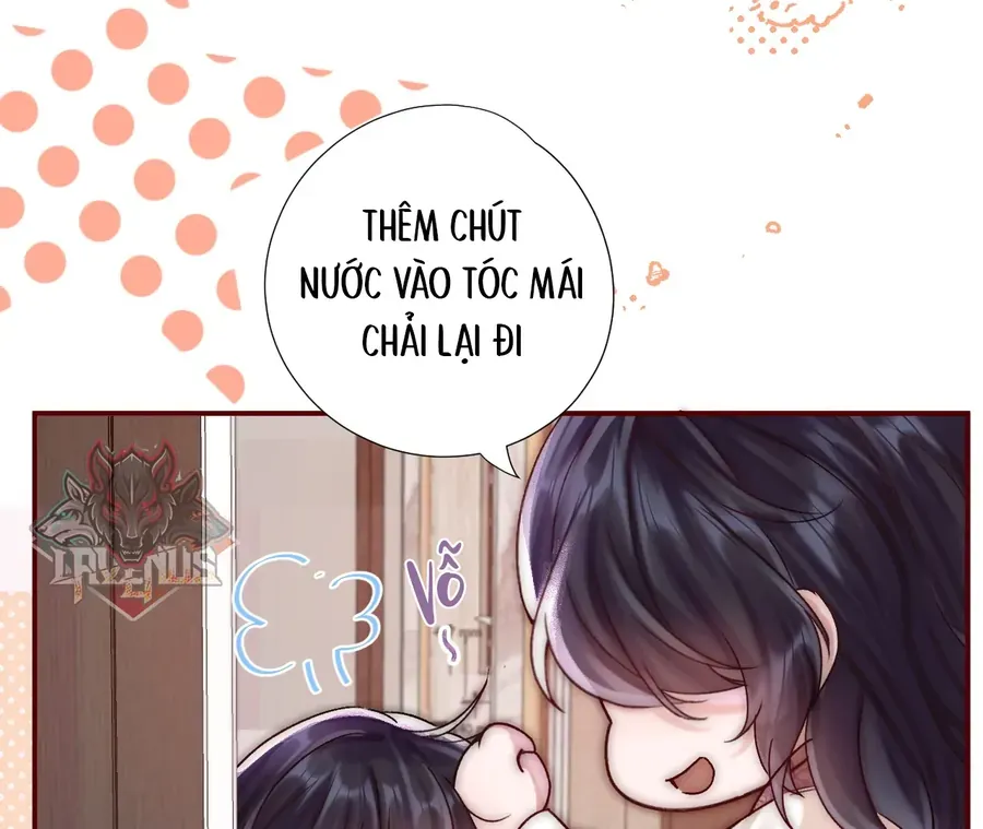 Vãn Triều - Chương 4