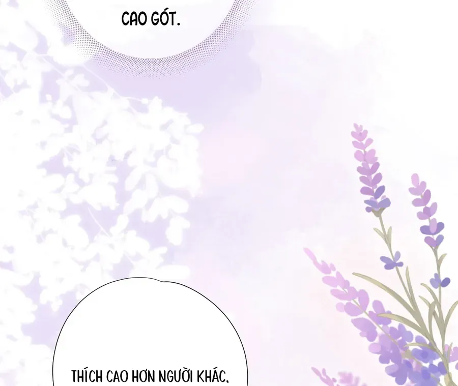Vãn Triều - Chương 4