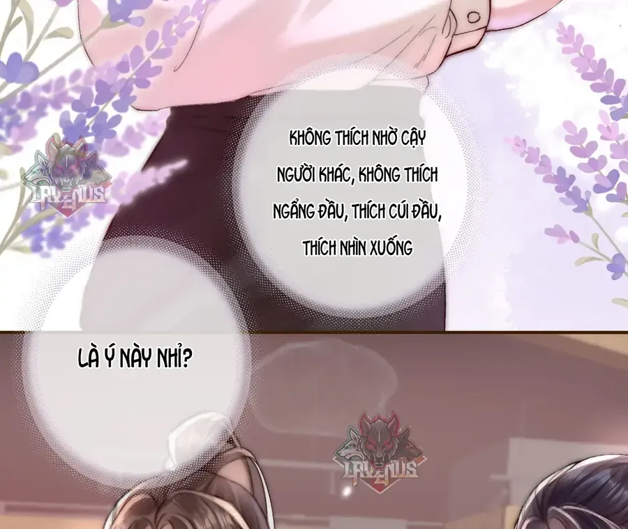 Vãn Triều - Chương 4