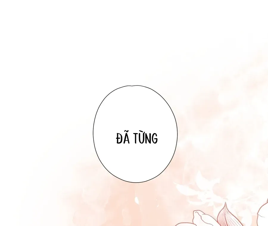 Vãn Triều - Chương 5