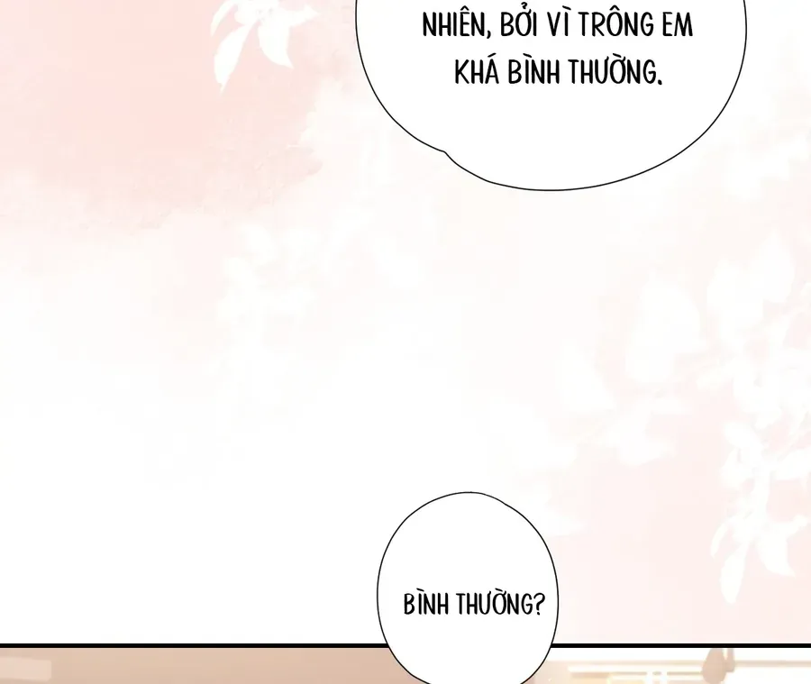 Vãn Triều - Chương 5
