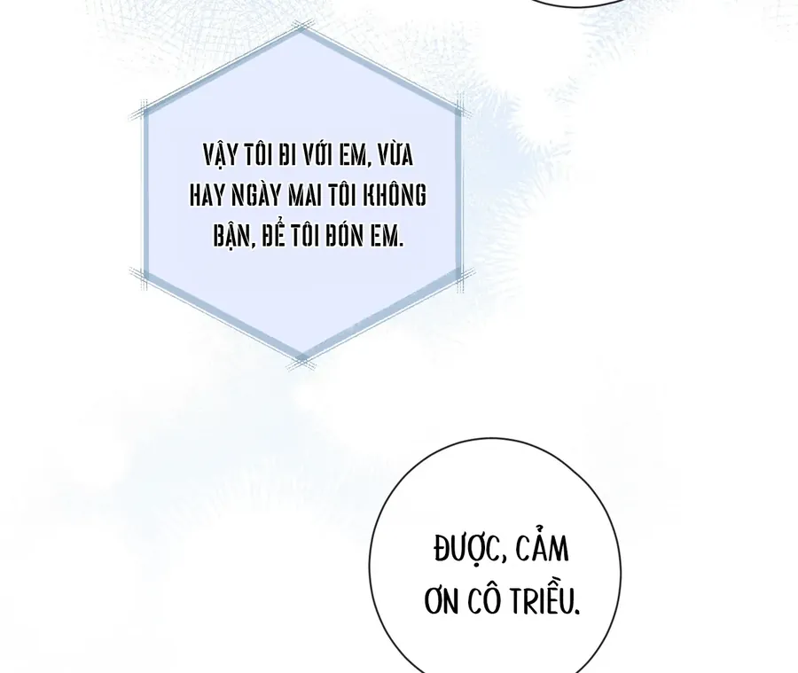 Vãn Triều - Chương 7