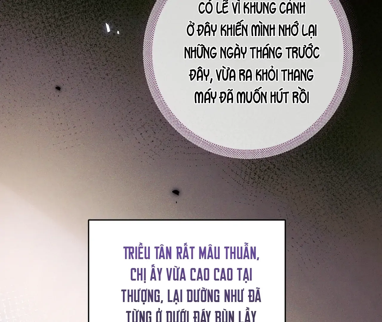 Vãn Triều - Chương 8