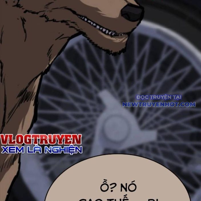 Ventablack - Chương 15