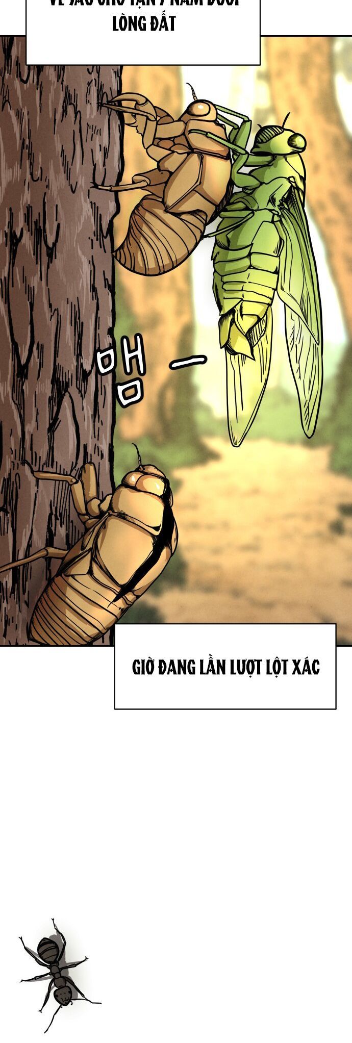 Vỏ Bọc - Chương 1