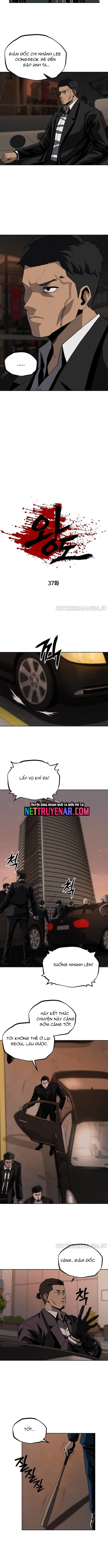Vương Đạo - Chương 37