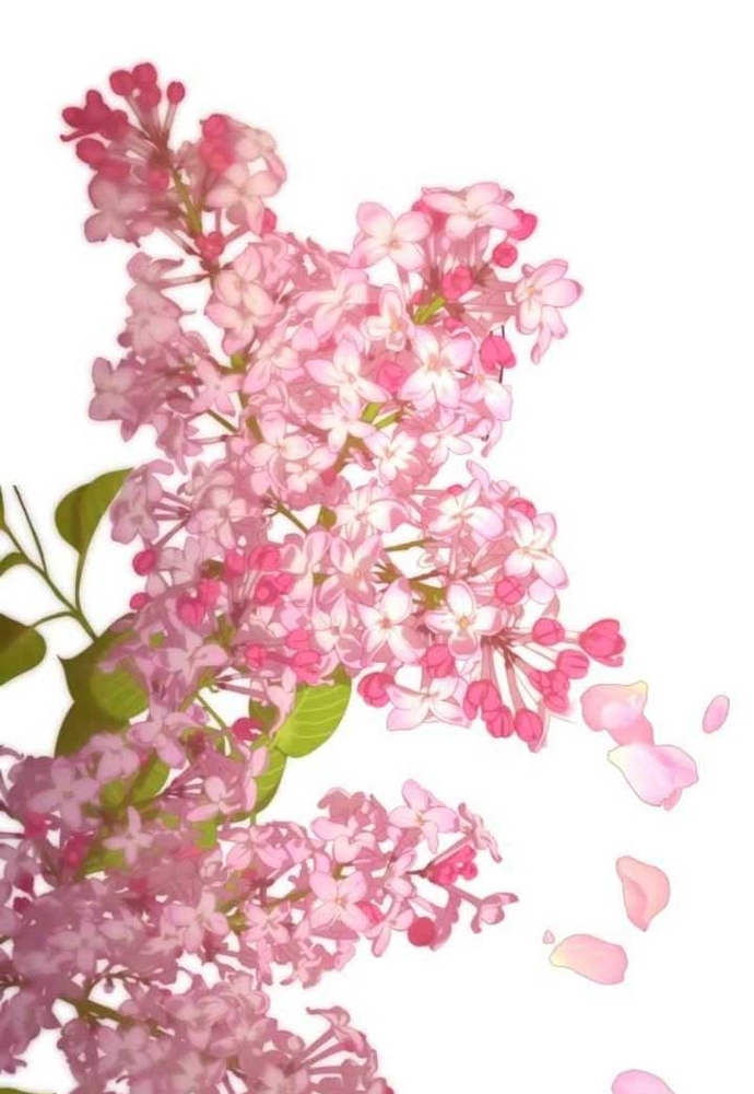 Winterbell - Chương 42