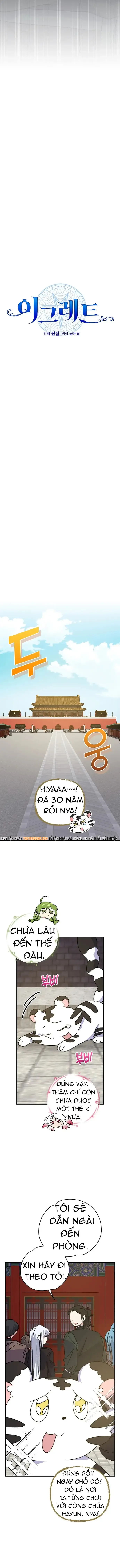 Ygret - Chương 104